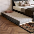 Pemberly Row Queen Platform Bed with Footboard and Twin XL Trundle in Black