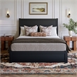 Pemberly Row Queen Platform Bed with Footboard and Twin XL Trundle in Black