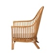 Pemberly Row Light Honey Rattan Arm Chair with Chevron Design