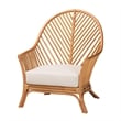 Pemberly Row Light Honey Rattan Arm Chair with Chevron Design