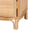 Pemberly Row Natural Rattan 1-Door Nightstand with 2 Shelves