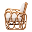 Pemberly Row Light Honey Rattan Openwork Arm Chair with Cushions