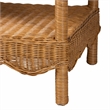 Pemberly Row Light Honey Scalloped Rattan Console Table with Shelf