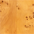 Pemberly Row Natural Mappa Burl Wood Console Table with Rectangular Top