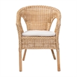 Pemberly Row Natural Rattan Dining Chair with Braided Outline and Cushion