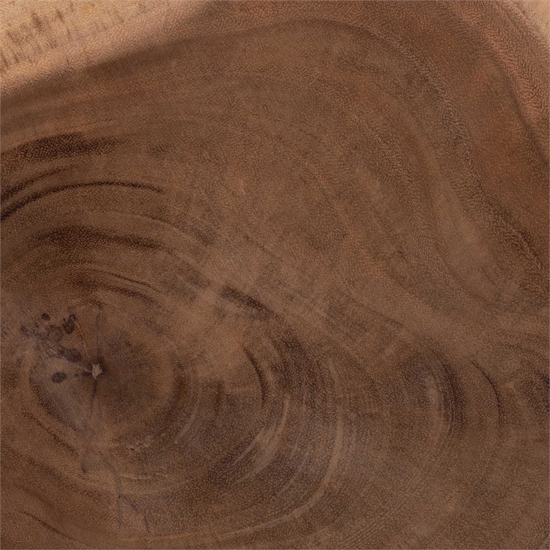 Pemberly Row Contemporary Natural Teak and Mungur Wood Round End Table