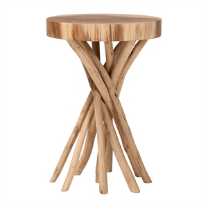 Pemberly Row Contemporary Natural Teak and Mungur Wood Round End Table