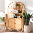 Pemberly Row Natural Rattan Peacock Fan Storage Cabinet with Arched Top