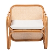 Pemberly Row Natural Rattan Armchair with Woven Panels and Removable Cushion