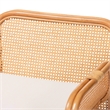 Pemberly Row Natural Rattan Armchair with Woven Panels and Removable Cushion