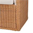 Pemberly Row Light Honey Rattan Arm Chair with Braided Detail