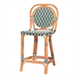 Pemberly Row Rattan Bistro Counter Stool with Round Back in Green