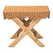 Pemberly Row Contemporary Rattan Accent Bench with Crisscross Base