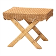 Pemberly Row Contemporary Rattan Accent Bench with Crisscross Base