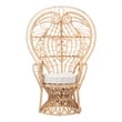 Pemberly Row Rattan Peacock Chair with Curled Geometric Fan Back