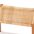 Pemberly Row Contemporary Rattan and Wood 2-Piece Dining Chair Set