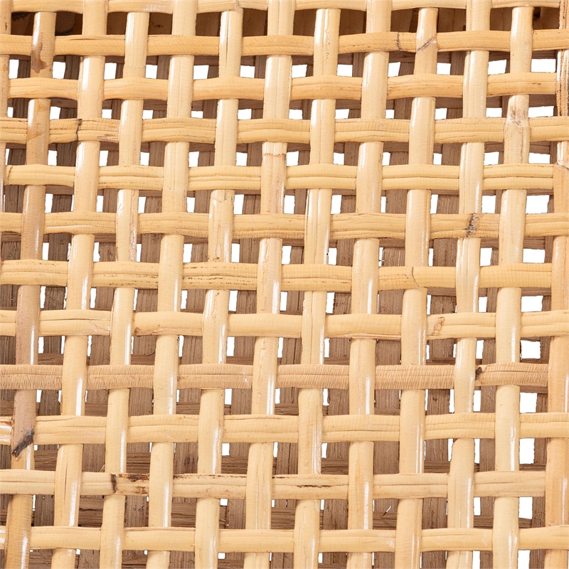 Pemberly Row Contemporary Rattan and Wood 2-Piece Dining Chair Set