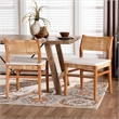 Pemberly Row Contemporary Rattan and Wood 2-Piece Dining Chair Set