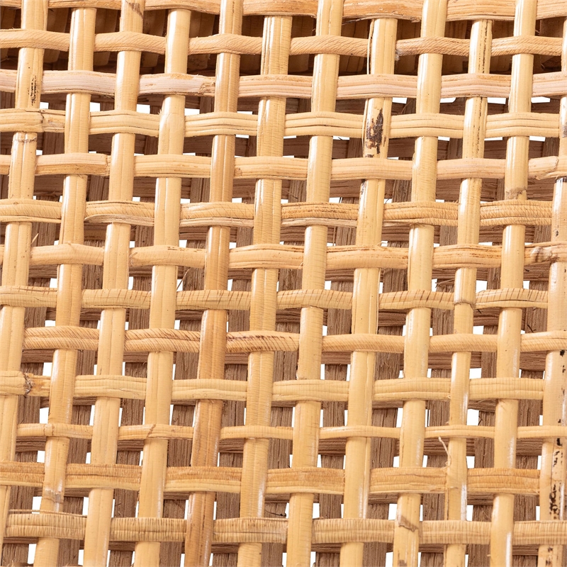 Pemberly Row Contemporary Rattan and Wood 2-Piece Bar Stool Set