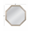 Pemberly Row Octagonal Wall Mirror in Plated Silver Engineered Wood