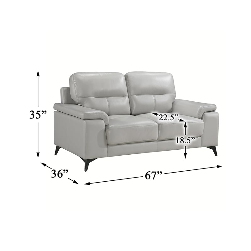 Pemberly Row Top Grain Leather Silver Gray 2-Piece Sofa Set with Pillow-Top Arms