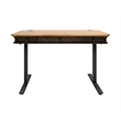 Pemberly Row Executive Electric Sit-Stand Desk w/ Solid Wood Plank Top in Brown