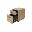 Pemberly Row 2-Drawer File Cabinet with Lock - Fully Assembled in Light Brown