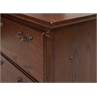 Pemberly Row 2-Drawer Wood Lateral File Cabinet w/ Ball Bearing Glides in Brown