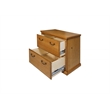 Pemberly Row 2-Drawer Lateral File Cabinet with Ball Bearing Glides in Natural