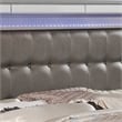 Pemberly Row Eastern King Bed with LED Lights and Mirror Trim in Silver