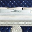 Pemberly Row Queen Bed with Sunburst Carving and Mirror Trim Accents in Black