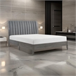 Pemberly Row Platform Bed with Channel Tufted Upholstered Back in Gray Velvet