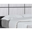 Pemberly Row Queen Panel Bed with Horizontal Trim Lines White Grained Wood