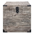 Pemberly Row Solid Mango Wood Trunk End Table with Storage in Gray