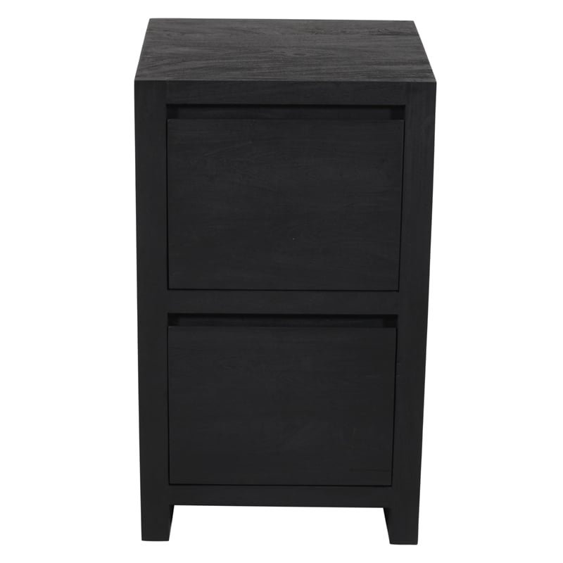 Pemberly Row 2-Drawer Reclaimed Solid Wood File Cabinet in Graphite Black