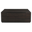 Pemberly Row 2-Drawer Solid Mango Wood Square Cocktail Table in Barista Brown