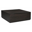 Pemberly Row 2-Drawer Solid Mango Wood Square Cocktail Table in Barista Brown