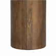 Pemberly Row Contemporary Solid Mango Wood Square End Table in Spice Tan