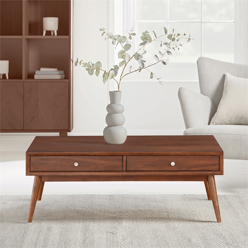 Pemberly Row Contemporary Wood 2-Drawer Coffee Table with Shelf in Brown