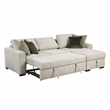 Pemberly Row 2-Pc Sectional Sleeper with Reversible Chaise in Sage Sand