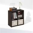 Pemberly Row 4 Cube Vinyl Record Media Storage Organizer in Dark Oak Finish