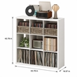 Pemberly Row 9 Cube Vinyl Record Media Storage Organizer in White Finish