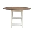 Pemberly Row Drop Leaf Table with Bottom Shelf in Graphite and Whitestone