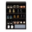 Pemberly Row 5-Tier Stackable Shoe Rack for Closet Entryway in Black Dark Oak