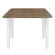 Pemberly Row 5 Piece Drop Leaf Table Set with Ladderback Chairs in White