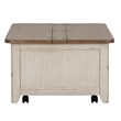 Pemberly Row 3-Piece Cottage Style Set in Antique White & Chestnut Finish