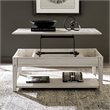 Pemberly Row Lift Top Cocktail Table with Storage in Weathered White