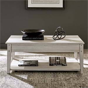 Pemberly Row Lift Top Cocktail Table with Storage in Weathered White
