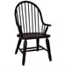 Rustic Black