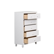 Pemberly Row White 5 Drawer Chest with Dovetail and Case Moldings